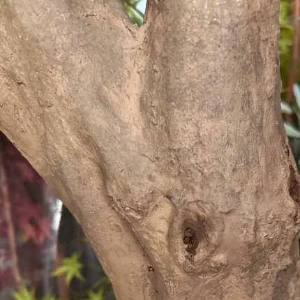 OLIVIER artificiel NEW géant 180 cm -  troncs