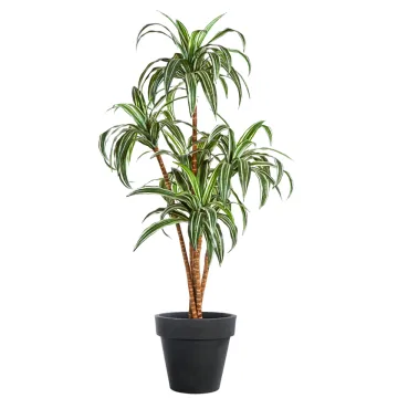 DRACENA artificiel (ou DRACAENA) arbre 120 et 150 cm en pot