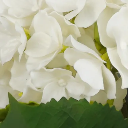 piquet Hortensia plastique 45 cm - détail