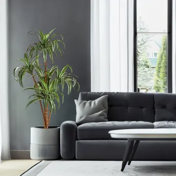 DRACENA artificiel (ou DRACAENA) arbre 120 et 150 cm