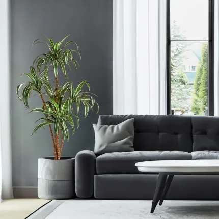 DRACENA artificiel (ou DRACAENA) abre 120 et 150cm