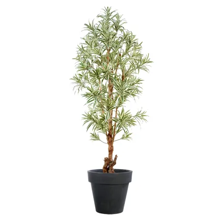 DRACENA artificiel (ou DRACAENA) REFLEXA   110 à 180 cm vert crème