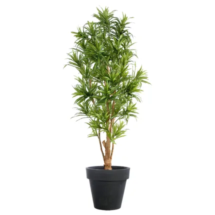 DRACENA artificiel (ou DRACAENA) REFLEXA   110 à 180cm