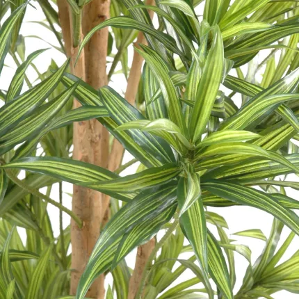 DRACENA artificiel (ou DRACAENA) REFLEXA  - feuilles vertes détails
