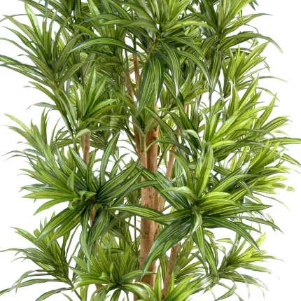 DRACENA artificiel (ou DRACAENA) REFLEXA  - feuilles vertes