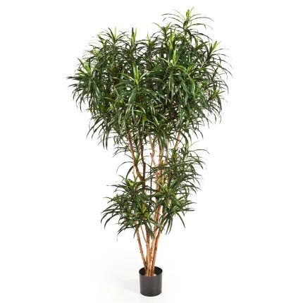 DRACENA artificiel (ou Dracaena) Reflexa Anita Tree 120 à 210 cm