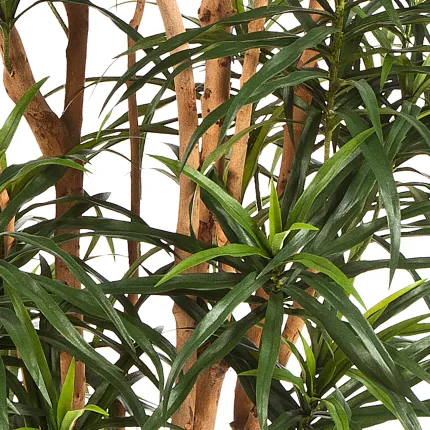 DRACENA artificiel (ou Dracaena) Reflexa Anita Tree 120 à 210cm