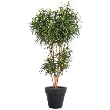 DRACENA artificiel (ou Dracaena) Reflexa Anita Tree 120 à 210 cm avec pot