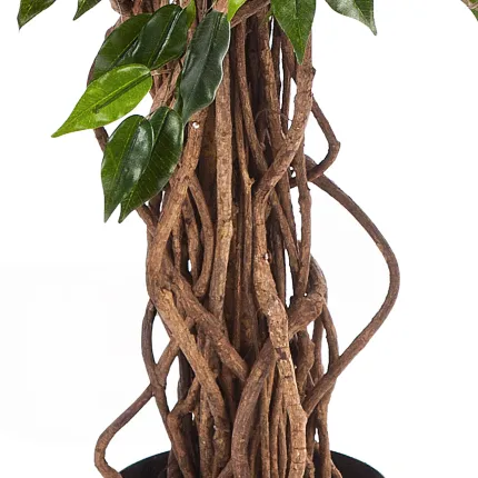 FICUS artificiel HAWAI LIANE 120 à 210 cm - tronc liane