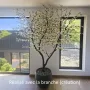 réalisation avec branche de cerisier 70 cm