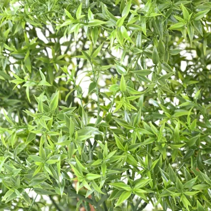 Eucalyptus Plast Artificiel arbre 150 à 210 cm - feuilles en gros plan