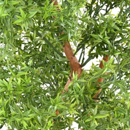 Eucalyptus Plast Artificiel arbre 150 à 210 cm - feuilles