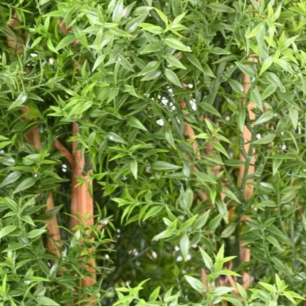 HAIE artificielle EUCALYPTUS plast 110 à 180 cm - détails