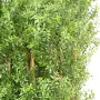 HAIE artificielle EUCALYPTUS plast 110 à 180 cm - feuilles et cannes