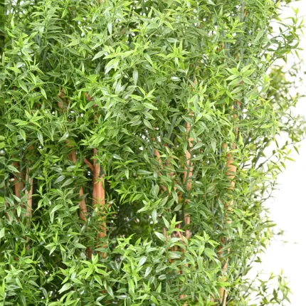 HAIE artificielle EUCALYPTUS plast 110 à 180 cm - feuilles et cannes