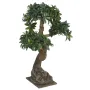 BONSAI artificiel ficus japonais 75 cm de profil