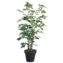 CARYOTA mitis artificiel ou palmier céleri 190 cm en pot