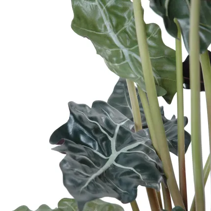 Alocasia artificiel Sanderiana 110 cm - tiges