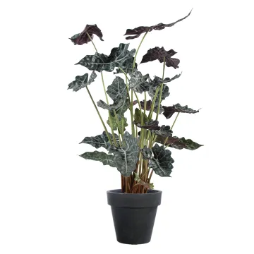 Alocasia artificiel Sanderiana 110 cm en pot
