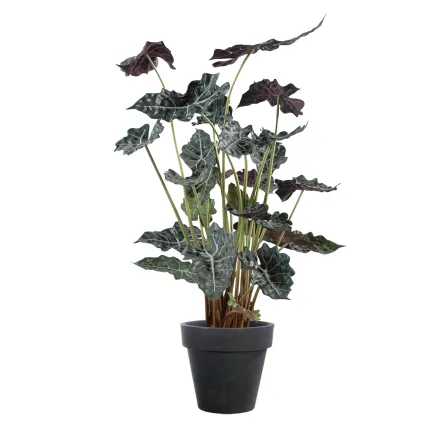 Alocasia artificiel Sanderiana 110 cm en pot