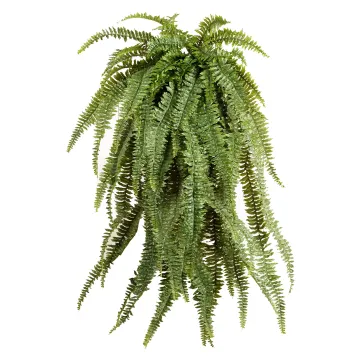 FOUGERE artificielle 150 cm