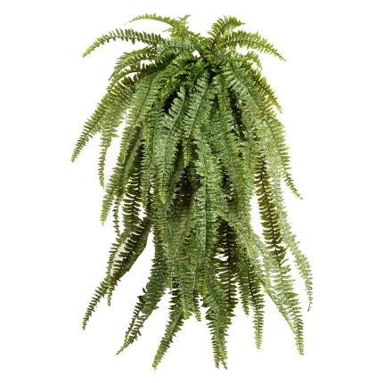 FOUGERE artificielle 150 cm