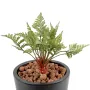 FOUGERE artificielle mini diam 18 cm