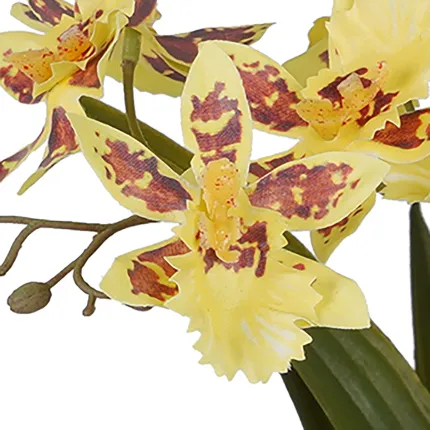 ORCHIDEE artificielle oncidium en pot 47 cm- détails fleurons