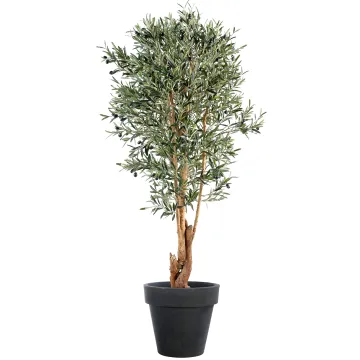 OLIVIER artificiel NEW tronc noueux 150 à 210 cm  (olives noires) en pot
