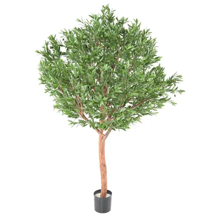 OLIVIER artificiel plast  tete large 210 cm  -