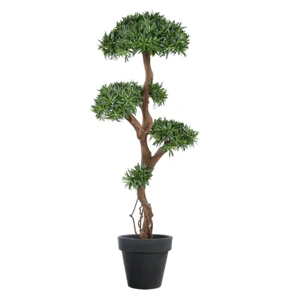 PODOCARPUS artificiel on crazy trunc . . . . 135 et 160cm