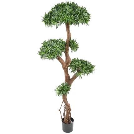 PODOCARPUS artificiel on crazy trunc . . . . 135 et 160cm