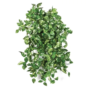 POTHOS mini artificiel 50 cm