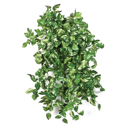 POTHOS mini artificiel 50 cm