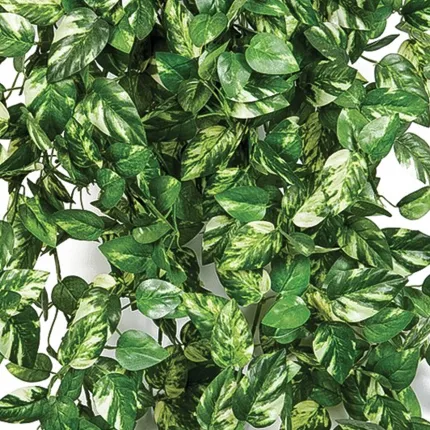 POTHOS mini artificiel 50 cm - détails feuilles