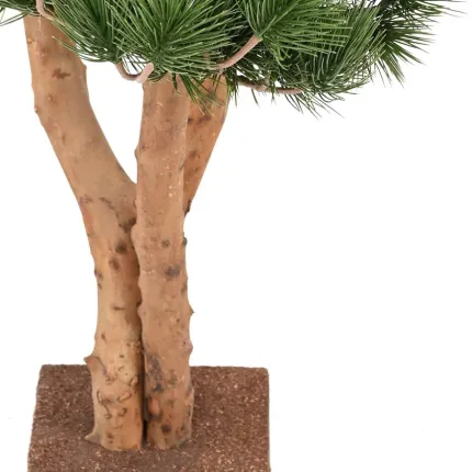 BONSAI artificiel PIN UV 70 cm - tronc