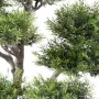BONSAI artificiel CONIFERE 95 cm - feuillage