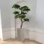 BONSAI artificiel PIN 220 cm en situation