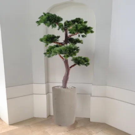 BONSAI artificiel PIN 220 cm en situation