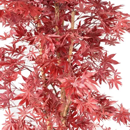 ERABLE artificiel DE LUXE (Aralia)  150 ou 180  cm automne rouge - feuillage