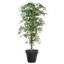 ERABLE artificiel DE LUXE (Aralia)  150 et 180 cm en pot