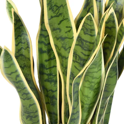 Feuillage de succulente artificielle Sanseveria vert jaune ignifugé Hauteur 90cm