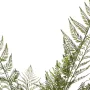 FOUGERE artificielle plast 125 cm - détail