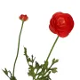 RENONCULE artificielle 65 cm 1 fleur et 1 bouton - de coté