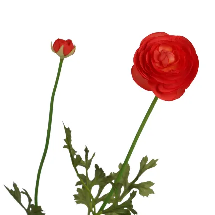 RENONCULE artificielle 65 cm 1 fleur et 1 bouton - de coté