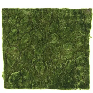 Plaque de mousse B artificielle 50 cm x 50 cm