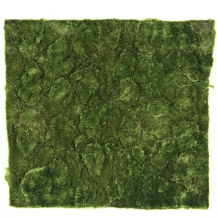 Plaque de mousse B artificielle 50 cm x 50 cm