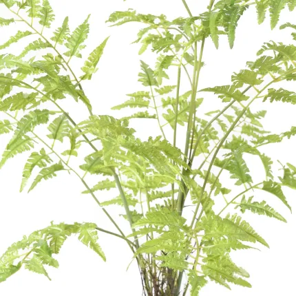 FOUGERE artificielle sur plot 75 à 125 cm