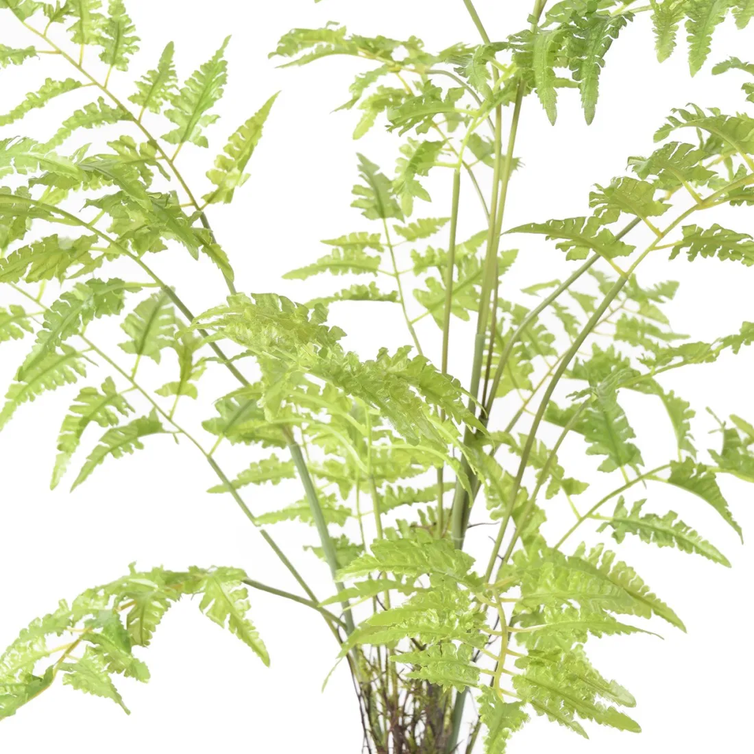 FOUGERE artificielle sur plot 75 à 125 cm