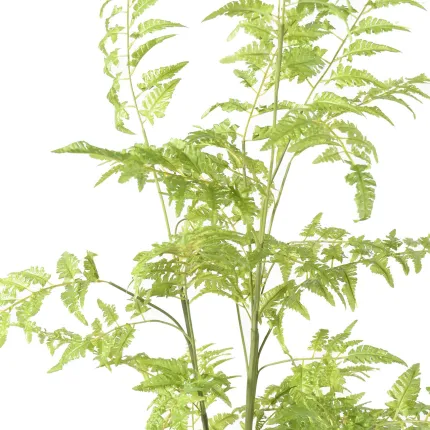 FOUGERE artificielle sur plot 75 à 170 cm - feuilles